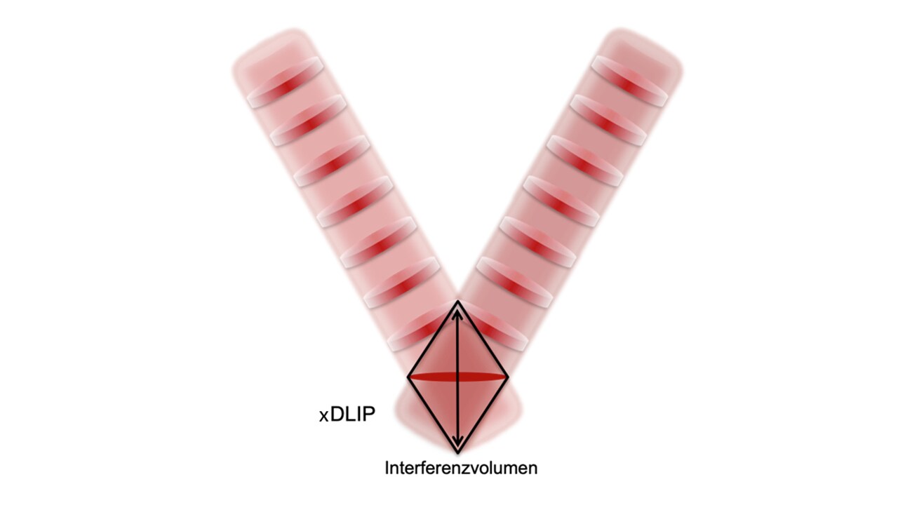 SurFunction_xDLIP Interferenz